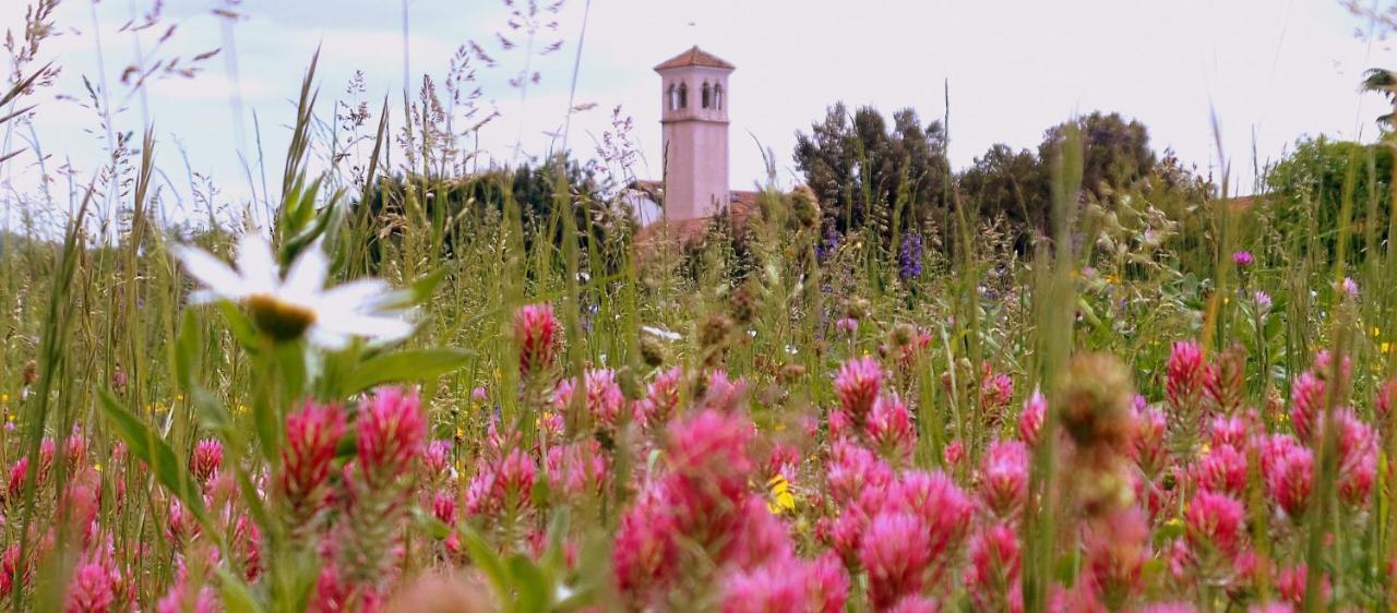 Vila Il Rifugio Del Monaco Cividale del Friuli Exteriér fotografie